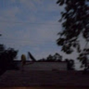 Meet your Posher, Manuel